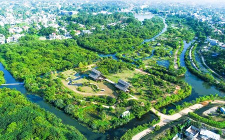 شهرهای برگزیده بیوفیلیک جهان + رویکردهای طبیعت‌باره