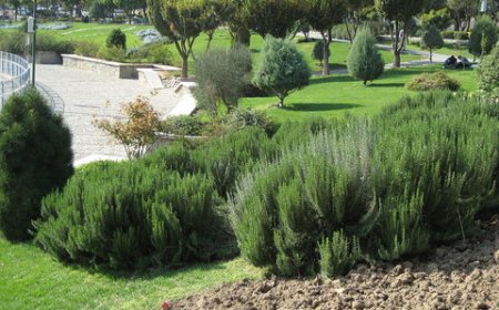 طراحی ۱۹ هکتار بوستان در مناطق ۸گانه شهر قم