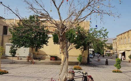 ماجرای قطع درخت آرزوها در شیراز چیست؟