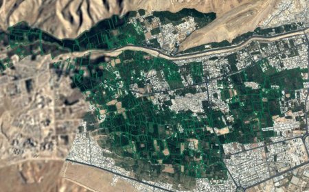 تغییر کاربری «باغ رزی» از دستور کار کمیسیون ماده ۵ خارج شد