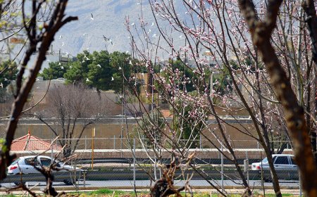 توقف تغییر کاربری باغات شیراز در ایستگاه کمیسیون ماده پنج