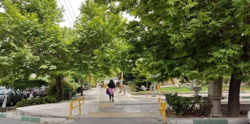 عضو شورای شهر تهران : قطع درختان بوستان کوهپیما خلاف قانون است
