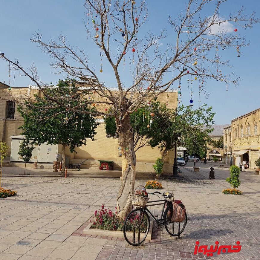 ماجرای قطع درخت آرزوها در شیراز چیست؟