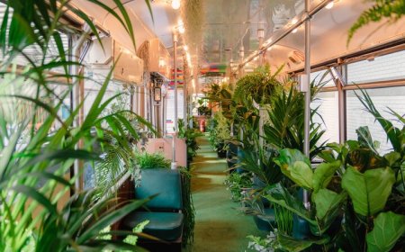 طرح «هر شهروند، یک باغبان شهری» در بلژیک