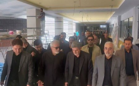 بازدید استاندار فارس و مدیریت شهری شیراز از مراحل پایانی پروژه بازار بزرگ پروتئین