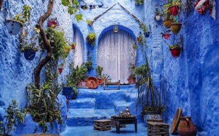 شهرهای میزبان زیباترین خیابان‌های دنیا