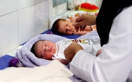 یک قطعه زمین برای خانواده‌هایی که صاحب فرزند سوم شدند