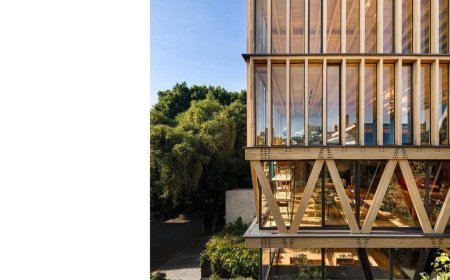 از بزرگترین و بلند ترین ساختمان ساخته شده از الوار های چوبی توده ای در کشور مکزیک رونمایی شد !