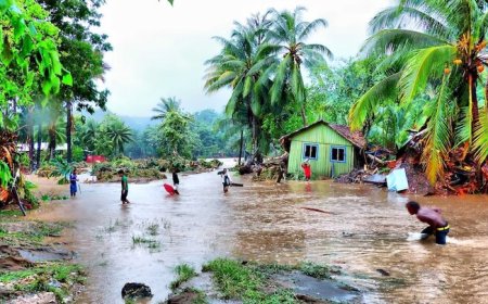 اثربخشی باغ‌های بارانی بر پیشگیری از وقوع سیل