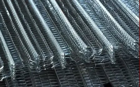 راهنمای خرید رابیتس