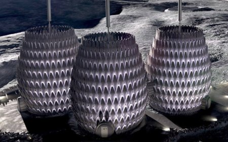 ناسا در حال برنامه ریزی برای ساخت خانه بر روی ماه تا سال 2040میلادی است !
