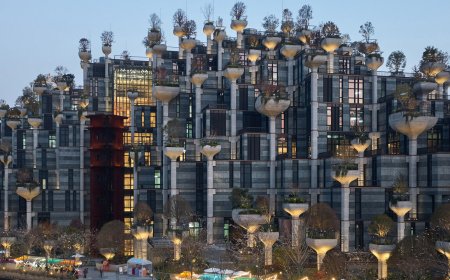 پشت‌بام‌ها، فرصت‌های بالقوه برای توسعه و پایداری شهرها