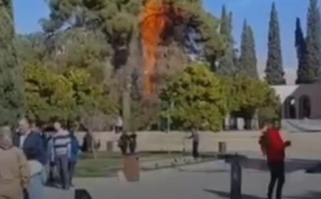 آتش گرفتن 2 درخت کهنسال در آرامگاه سعدی