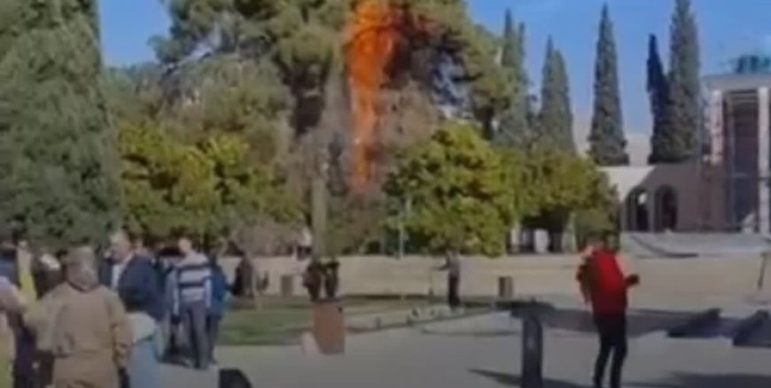 آتش گرفتن 2 درخت کهنسال در آرامگاه سعدی
