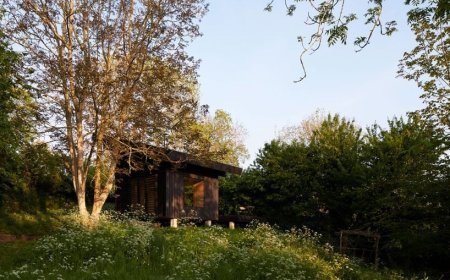 خانه چشم نواز 20 متری که فرانسوی ها معماری کردند