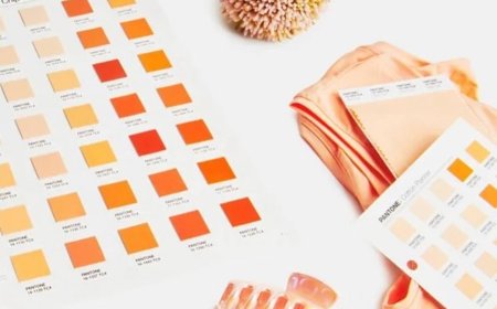 رنگ سال 2024 توسط پنتون اعلام شد: هلویی مخملی !لحنی سبک و نمادی از شفقت ارتباطات انسانی...