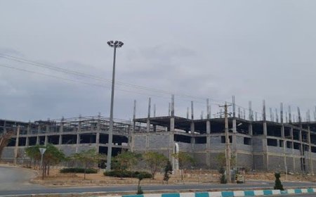 دریغ از یک آجر کاربری خدماتی!