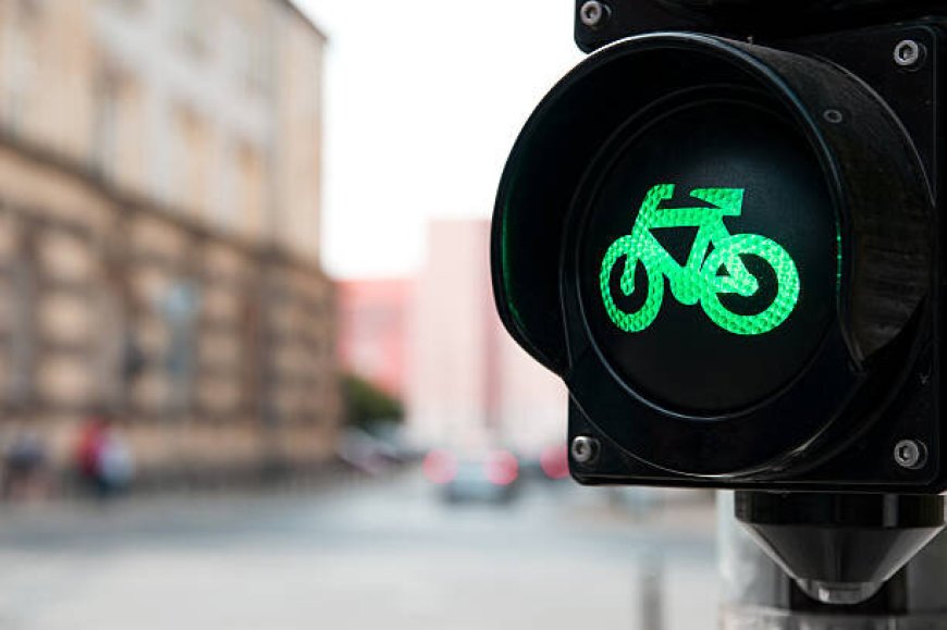 جنبش «شهردار دوچرخه» در سراسر جهان