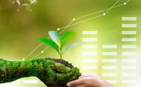 استراتژی‌های بهبود بهره‌وری انرژی در شهرها