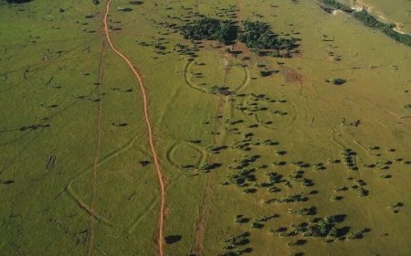 کشف شهر گمشده باستانی عظیم در آمازون