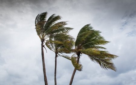 بادخیزترین شهرهای جهان