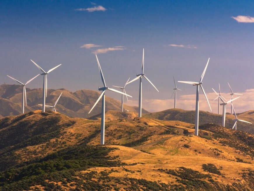 آغاز به کار بزرگ‌ترین پروژه انرژی بادی جهان
