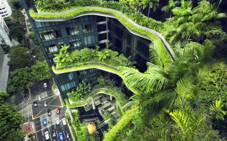 فضای سبز در این شهرها، اولویت است