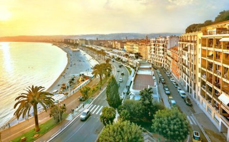 طرح «هر شهروند، یک درخت» در نیس اجرا میشود