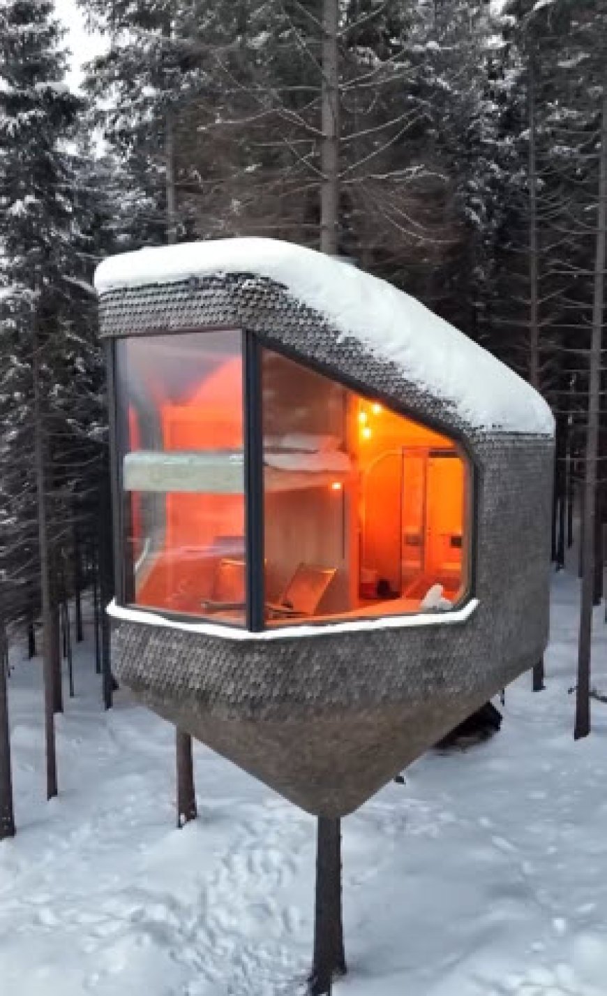 خانه ی درختی در جنگل های کشور نروژ