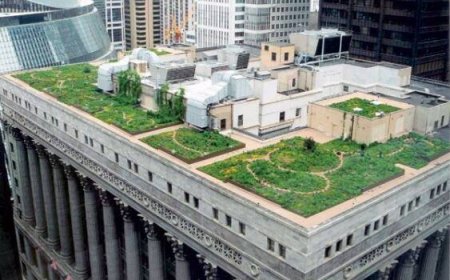 لایحه ساختمان سبز در راه شورای شهر تهران