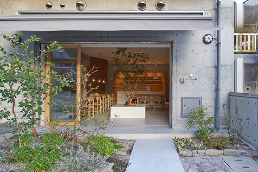طراحی کافی شاپ با استفاده از گیاهان در فضای داخلی