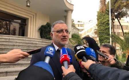 زاکانی: قرار نیست حتی یک درخت در پارک قیطریه قطع شود