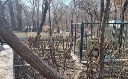 چمران: یک مسجد کوچک زیبا در پارک قیطریه ساخته میشود