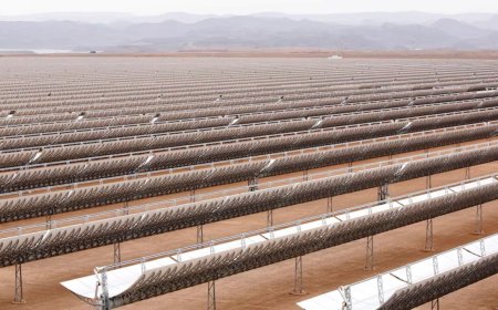 شکست بزرگ‌ترین پروژه انرژی تجدیدپذیر تاریخ