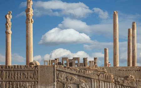 تخت جمشید را قارچ گرفت