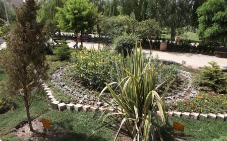واکنش شهرداری به قطع درختان بوستان ستارخان