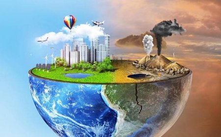 آنتروپوسن و نقش شهرها در مقابله با عصر جدید زمین