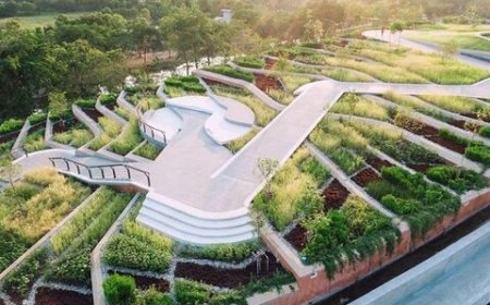 زیباترین بام‌های سبز جهان در سال ۲۰۲۳