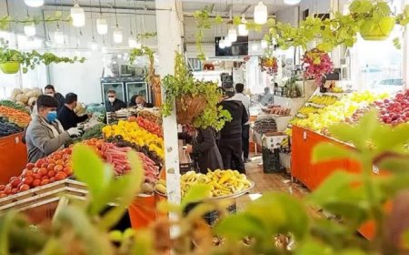 معیشت خانواده دغدغه مدیریت شهری/ کلنگ زنی بازارچههای میوه و ترهبار در مناطق یازدهگانه