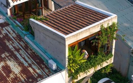 آشیانه ؛ خانه جالبی که در فضای مجازی مورد توجه قرار گرفته است!