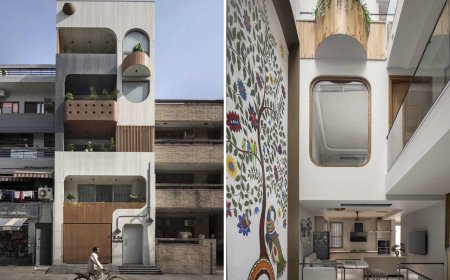 آپارتمان باریک هندی که با یک نقاشی مشهور شده است!