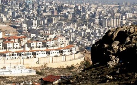 بازار مسکن کاملا از بازار ارز تاثیر می گیرد/ اگر قیمت دلار بالا نرود، خانه هم گران نمی شود