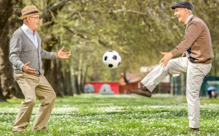 ارتقای نشاط شهری با ترویج فضاهای ورزشی محیطی