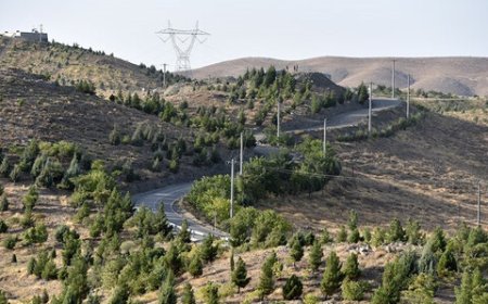 «کمربند سبز» فرصتی سبز برای نفس کشیدن در شهرها