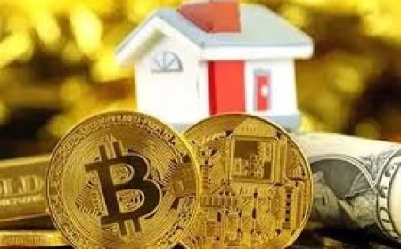 نایب رئیس اتحادیه مشاوران املاک: سقف اجارهبها فروشندگان را به سمت استفاده از عتیقه و بیتکوین سوق داده است