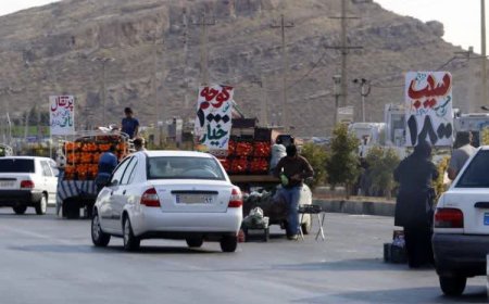 شهرداری شیراز هیچ‌گونه مجوزی برای فعالیت بارفروشان خودرویی و اغذیه‌فروشان سیار در معابر صادر نکرده است