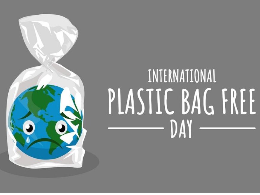 روز جهانی بدون کیسه پلاستیکی۲۰۲۴ International Plastic Bag Free Day