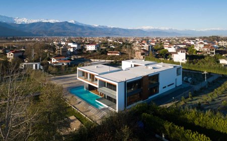 نگاهی به پروژه ویلای اسب چین