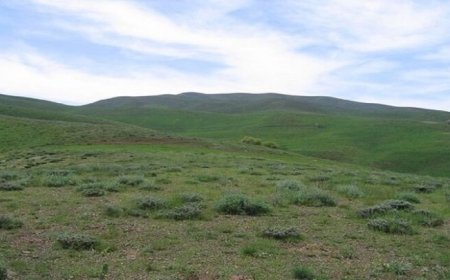 اختصاص ۴۰۰میلیارد ریال اعتبارات سفر استانی رئیسجمهور شهید برای اصلاح مراتع فارس