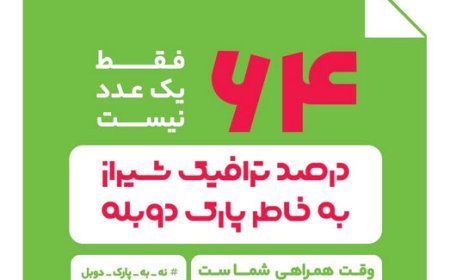 ۶۴ فقط یک عدد نیست؛ درصد ترافیک طی شبانهروز به دلیل پارک دوبل در معابر شهری شیراز است